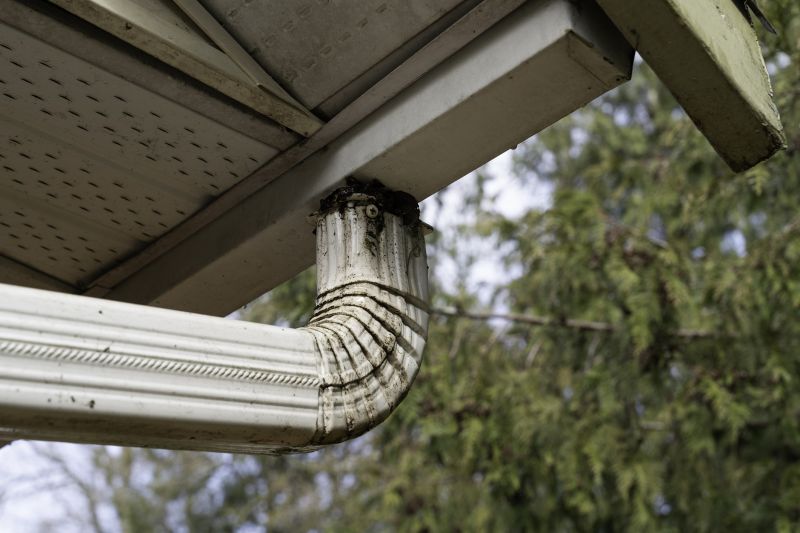 Downspout Jetting