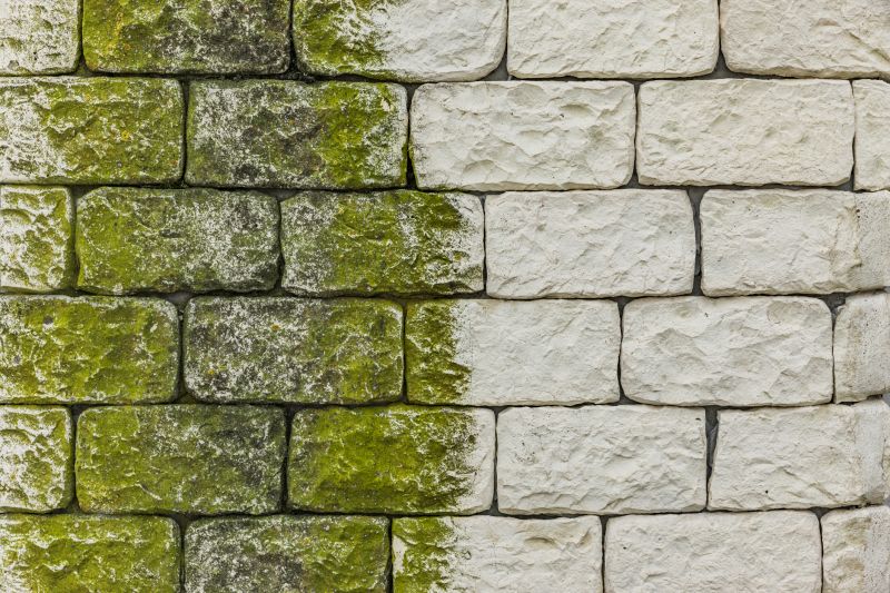 Pool Deck Algae Removal