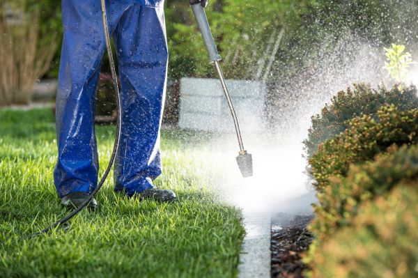 Cost of Curb Cleaning in Gilroy