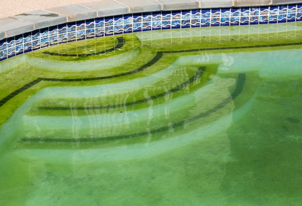 Pool Deck Algae Removal in Gilroy