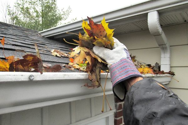 Cost of Eaves Cleaning in Gilroy