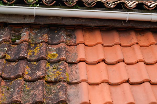 Industrial Roof Cleaning in Gilroy